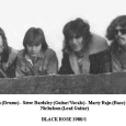 Black Rose 1980