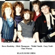 Black Rose 1985-1986