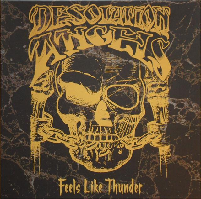 DESOLATION ANGELS - Feels Like Thunder LP