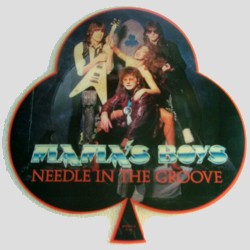 MAMAS BOYS - Needle In The Groove 1985 Picture Disc