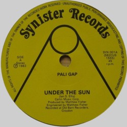 PALI GAP - Under The Sun