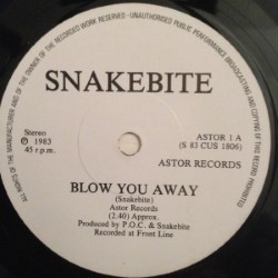 SNAKEBITE - Blow You Away